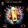 Buy Ace Ultra Jelly Rancher in stock now for sale, Ace Ultra Premium Tiffany Edition for sale, buy Ace Dual Gen Master Box in stock.