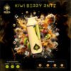 Buy Ace Ultra Kiwi Berry Rntz in stock now for sale, Ace Dual Gen Master Box in stock near you, buy Ace Ultra Acapulco Sunrise for sale.
